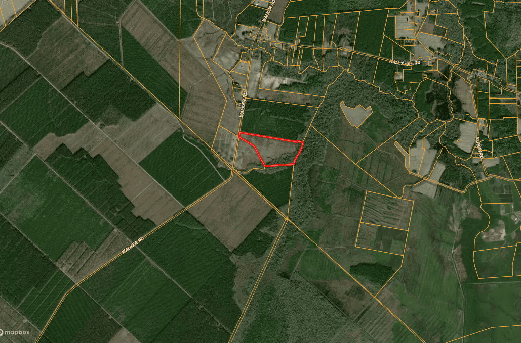 52-Acre Timber and Hunting Tract Near New Bern, NC